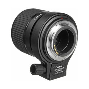 Canon MP-E65 f/2.8 1-5 x Macro