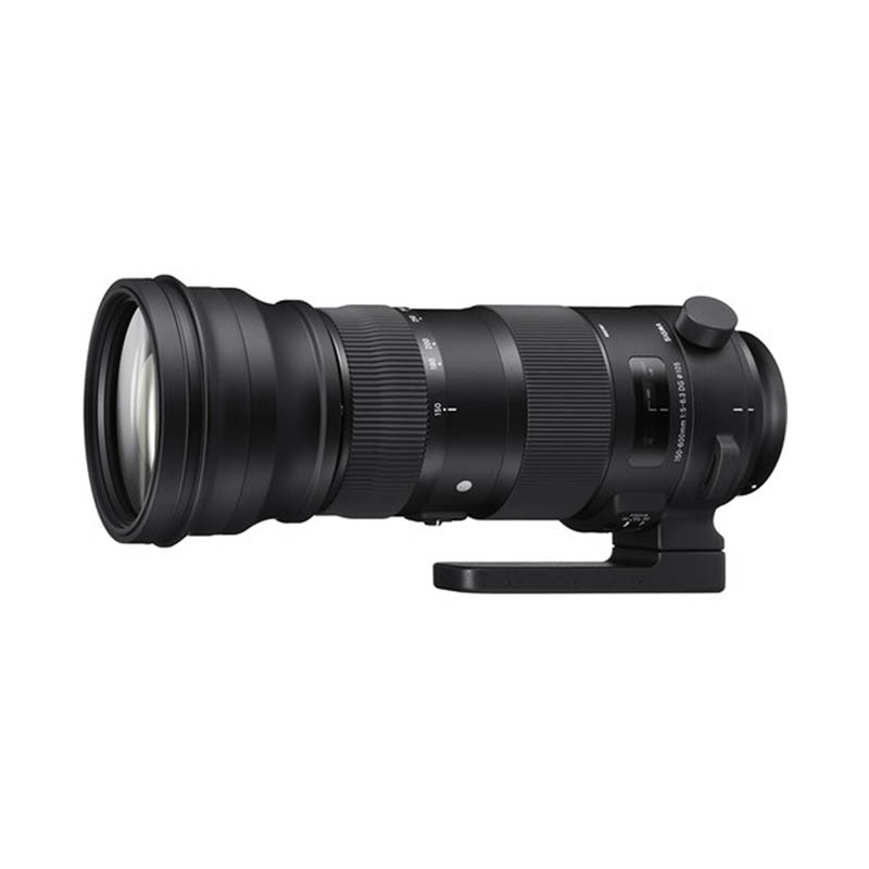 Sigma 150-600mm f/5-6.3 DG OS HSM Sports Lens • Canon
