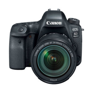 Canon EOS 6D Mark II Body & Canon EF 24-105mm f/3.5-5.6 IS STM