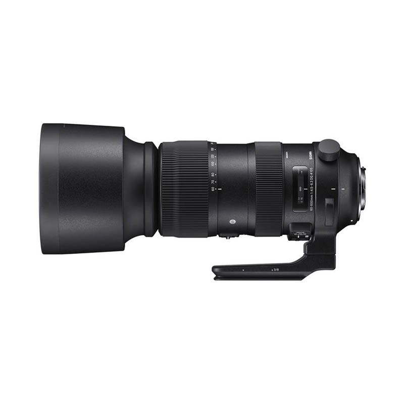Sigma 60-600mm f/4,5-6,3 DG OS HSM Sport Lens • Nikon