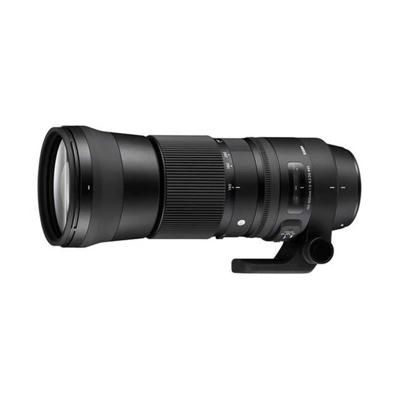 Sigma 150-600mm f/5-6.3 DG OS HSM Contemporary Lens • Nikon